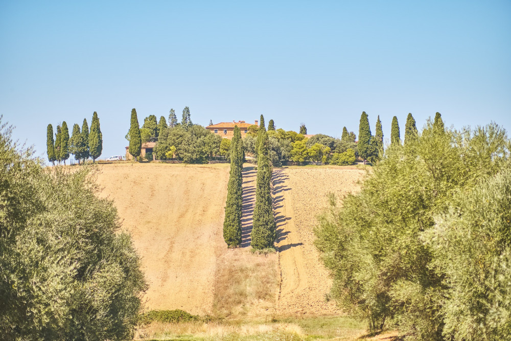 Discovering: Montepulciano & Pienza with Lunch and Tastings from Rome