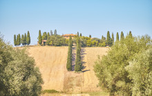 Ciao Florence Tours and Travels Srl1