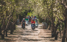 Ciao Florence Tours and Travels Srl10