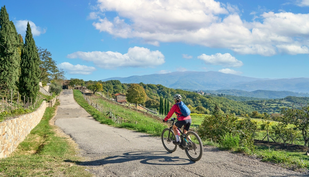 Chianti Hills E-Bike Tour from Florence with Farmhouse and Wine Tasting