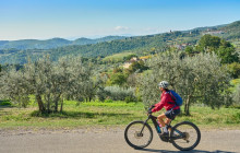 Ciao Florence Tours and Travels Srl3