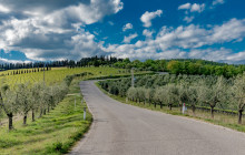 Ciao Florence Tours and Travels Srl4