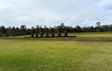 Gray Line Chile3