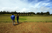 Gray Line Chile5