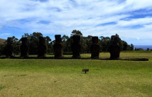 Gray Line Chile9