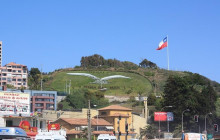 Gray Line Chile7