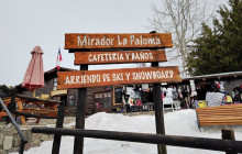 Gray Line Chile8