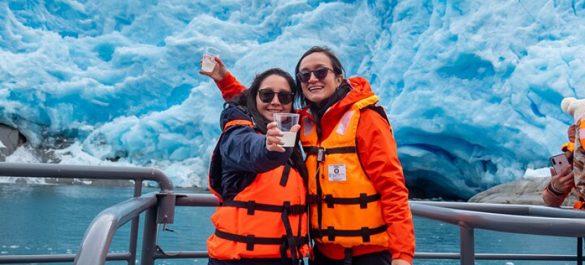 Whales, Penguins & Glaciers Navigation From Punta Arenas