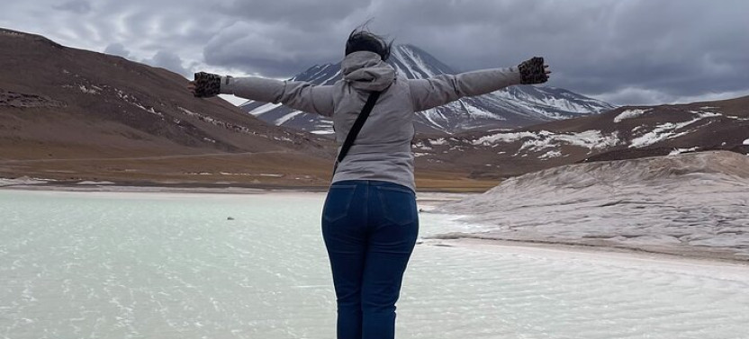 Altiplanic Lagoons & Piedras Rojas Tour from San Pedro de Atacama