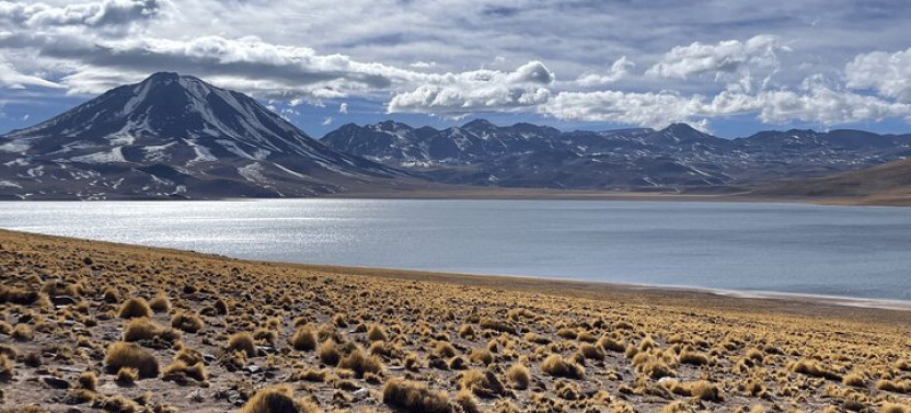 Altiplanic Lagoons & Piedras Rojas Tour from San Pedro de Atacama