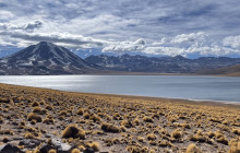 Gray Line Chile2