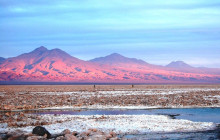 Gray Line Chile4