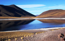 Gray Line Chile5