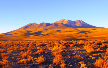 Gray Line Chile6