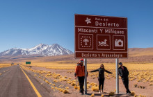 Gray Line Chile9