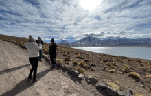 Gray Line Chile10