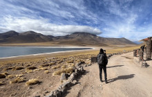 Gray Line Chile11