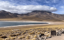 Gray Line Chile12