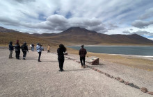 Gray Line Chile15