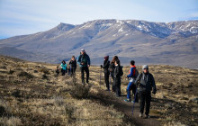 Gray Line Chile2