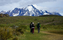 Gray Line Chile5