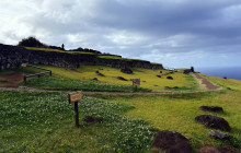 Gray Line Chile7