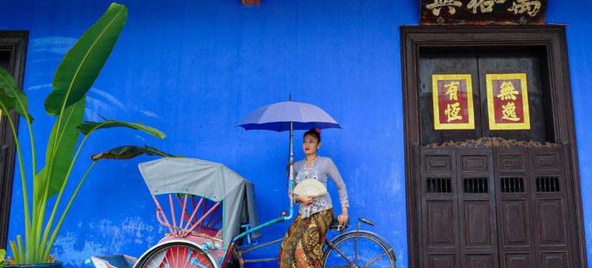 Penang: Hilltop Views, Temples & George Town by Trishaw