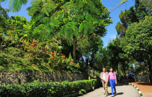 Discova Day Tours and Activities7