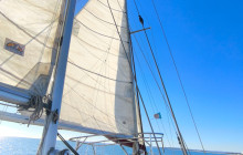 Algarve On Board3