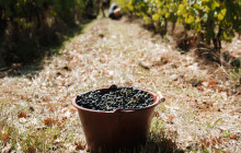 Insiders Experience1