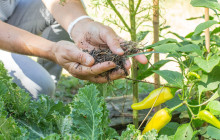 Insiders Experience3