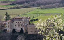 Insiders Experience5