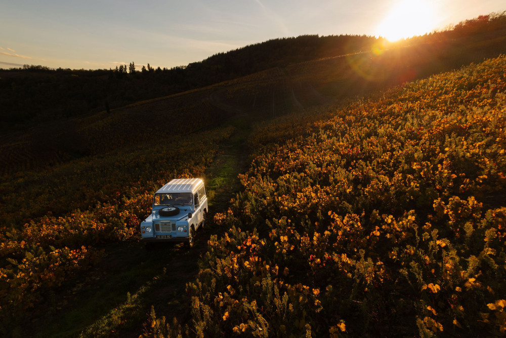 Private Winter Wine & Château Tour in Burgundy and Beaujolais