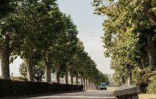 Insiders Experience7