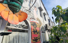 Discova Day Tours and Activities11