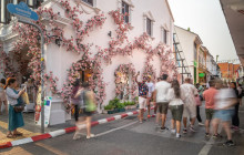 Discova Day Tours and Activities12