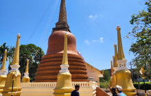 Discova Day Tours and Activities5