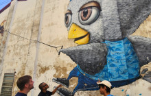 Discova Day Tours and Activities7