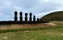Gray Line Chile6