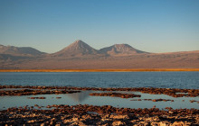 Gray Line Chile8