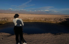 Gray Line Chile13