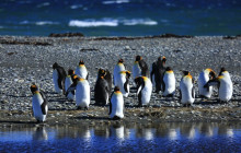 Gray Line Chile2