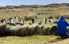 Gray Line Chile3