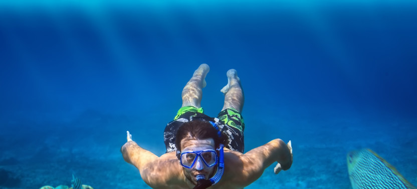 Waikiki Snorkel Tour at Turtle Canyons with Green Sea Turtles