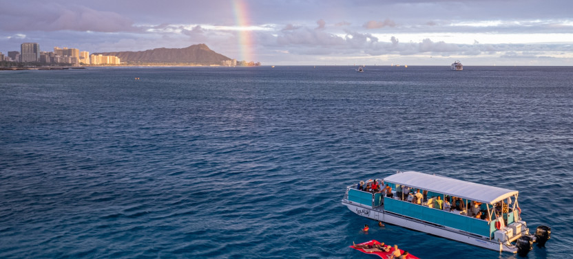 Waikiki Snorkel Tour at Turtle Canyons with Green Sea Turtles