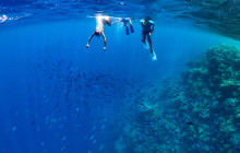 Honolulu Snorkel Company6