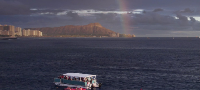 Waikiki Whale Watching Cruise to See Migrating Humpback Whales