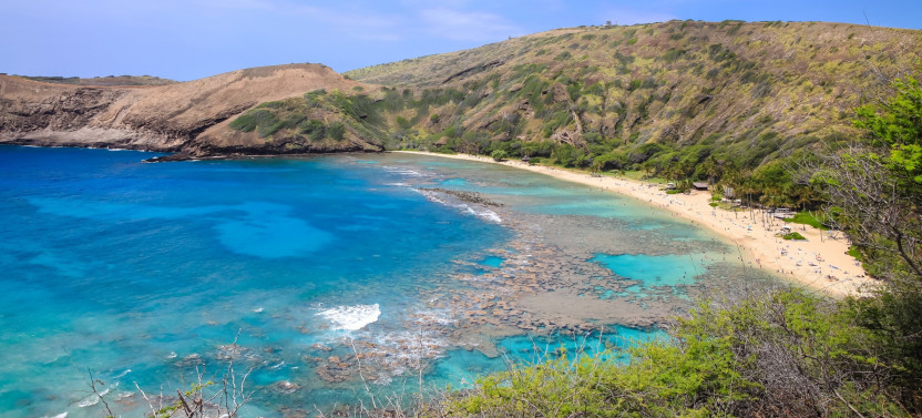 Hanauma Bay Snorkeling Tour with Lessons
