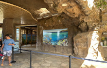 Honolulu Snorkel Company10