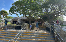 Honolulu Snorkel Company12